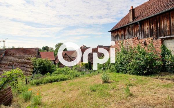 Maison à vendre    6 pièces •  Offwiller