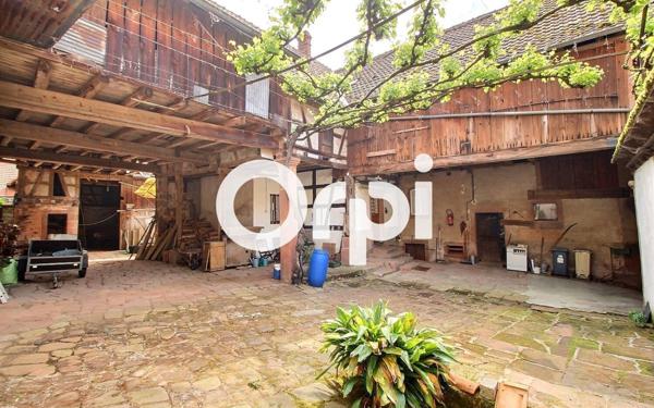 Maison à vendre    6 pièces •  Offwiller