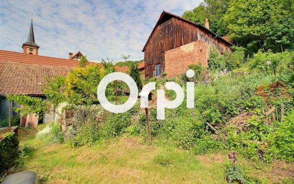 Maison à vendre    6 pièces •  Offwiller