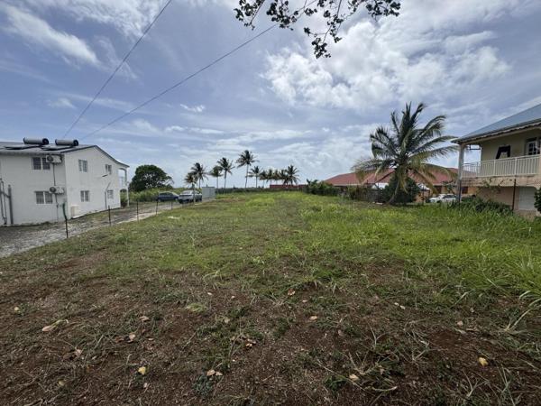 Vente / Terrain constructible à Goyave (97128)