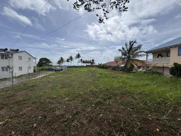 Vente / Terrain constructible à Goyave (97128)