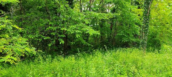 Terrain à vendre    Léguillac-de-l'Auche