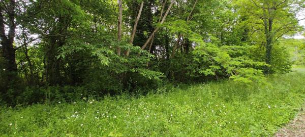 Terrain à vendre    Léguillac-de-l'Auche