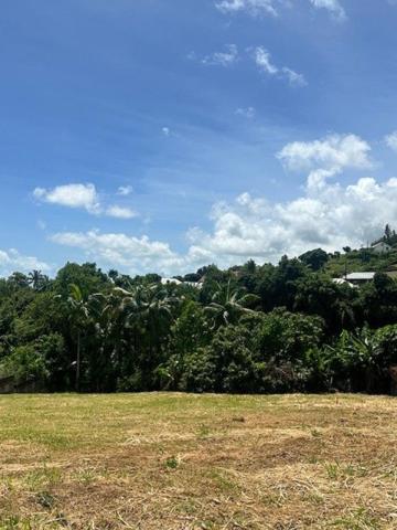 Terrain à SAINTE-CLOTILDE, 97490 - 716m²