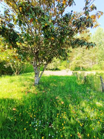Maison à BELLEVESVRE, 71270 - 4 pièces 89m²