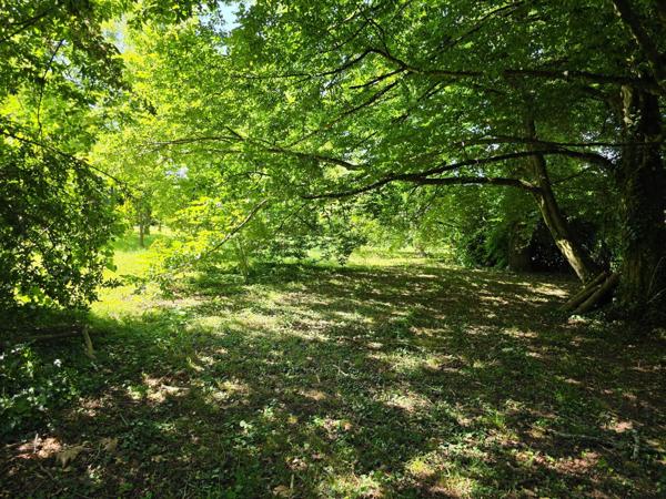 Vente Maison de luxe Nontron 10 Pièces 372 m²