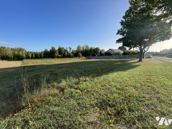 COURTISOLS (51460) terrain  bâtir de 1009m²