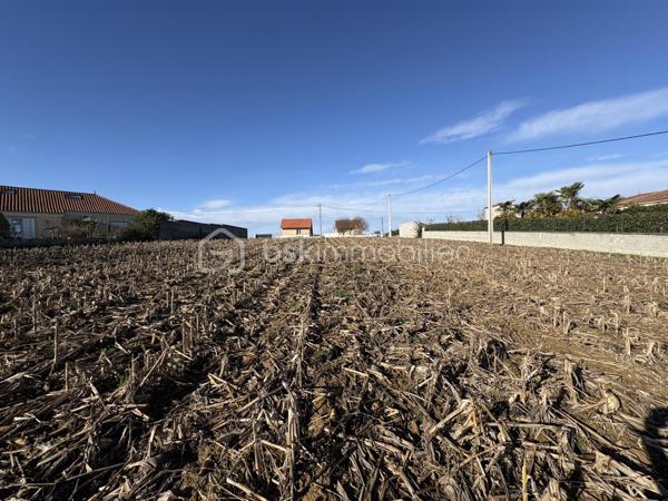 Belle opportunité avec certificat d'urbanisme opérationnel !

Nous vous proposons à la vente un terrain constructible de 1523 m² situé à Boulin (Hautes-Pyrénées), bénéficiant d'un certificat d'urbanisme opérationnel.

Idéalement situé à Boulin, ce terrain bénéficie d'un cadre de vie paisible au cœur des Hautes-Pyrénées, tout en restant accessible et proche des commodités locales.     Un emplacement idéal alliant calme de la campagne et proximité immédiate des commerces, regroupement scolaire, arrêt de bus...
il se situe à moins de 2 minutes du centre du village de Boulin, 5 minutes de Séméac, 10 minutes de Tarbes, 10 minutes d'Orleix 

Caractéristiques du terrain :
Surface : 1523 m²
Exposition : Plein Sud
Type de sol : Argileux (typique du département)
Assainissement : Individuel

Viabilisation et études :
Réseaux : Eau et électricité en bordure de route
Certificat d'urbanisme : Opérationnel ✓
Étude géotechnique G1 : Réalisée ✓
Étude G2 : À réaliser à la charge du vendeur

Urbanisme :
PLU : Commune couverte par un Plan Local d'Urbanisme avec OAP (Orientations d'Aménagement et de Programmation)

Informations financières :
Prix : 45 000 € FAI (frais d'agence inclus)
Prix attractif pour un terrain de cette surface

N'hésitez pas à me contacter pour obtenir plus d'informations ou organiser une visite sur place.