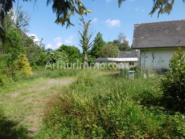 Vente Maison 31 pièces 570 m2 à Nay