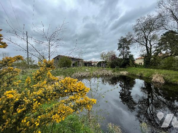 À VENDRE – Propriété en pierre rénovée – 195 m² habitables – Terrain > 1 hectare