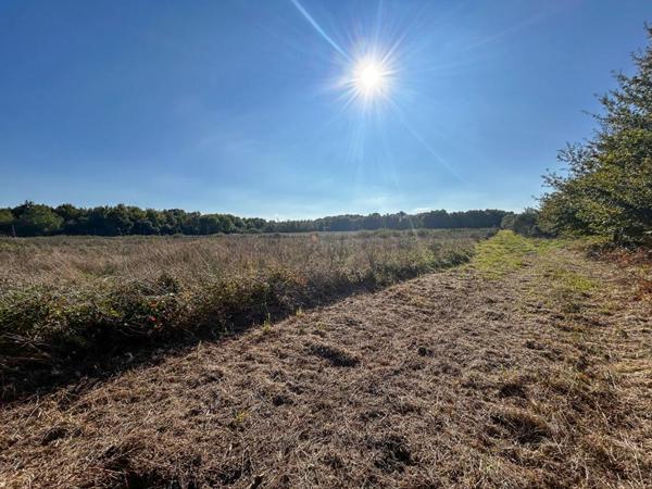 Territoire de chasse Langon Sur Cher 223455 m2
