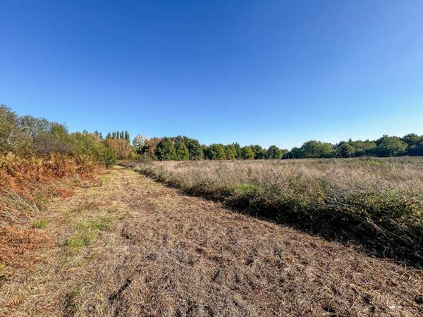 Territoire de chasse Langon Sur Cher 223455 m2
