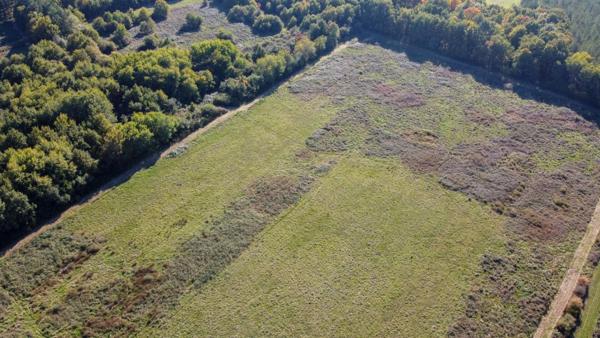 Territoire de chasse Langon Sur Cher 223455 m2