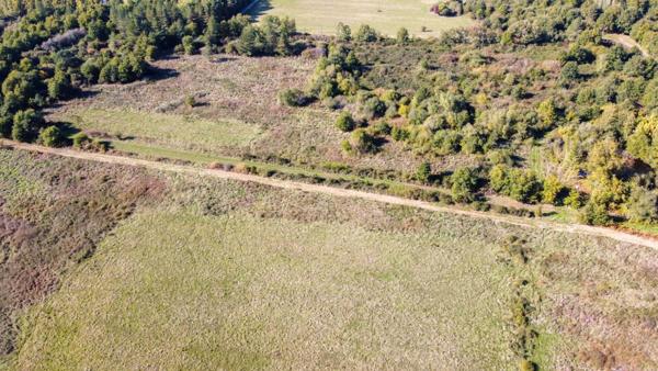 Territoire de chasse Langon Sur Cher 223455 m2