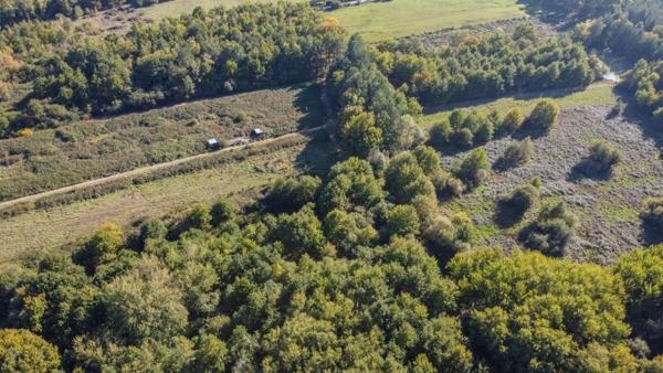 Territoire de chasse Langon Sur Cher 223455 m2