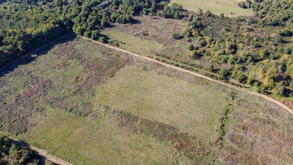 Territoire de chasse Langon Sur Cher 223455 m2