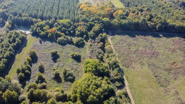 Territoire de chasse Langon Sur Cher 223455 m2