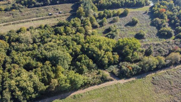 Territoire de chasse Langon Sur Cher 223455 m2