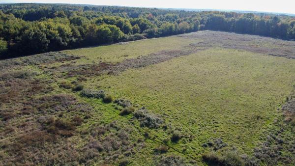 Territoire de chasse Langon Sur Cher 223455 m2