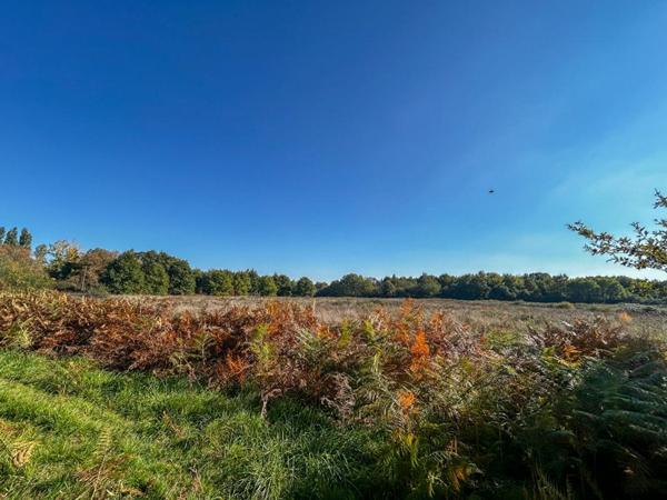 Territoire de chasse Langon Sur Cher 223455 m2