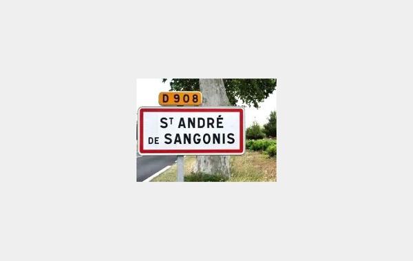 Vente Terrain Constructible Saint-andre-de-sangonis