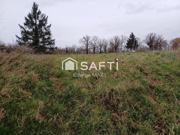 Belle opportunité  à saisir