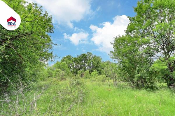 Parcelles constructibles au calme, arborées