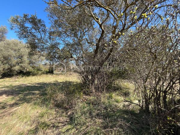 Terrain de 854 m²