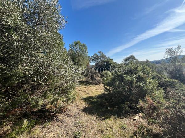 Terrain de 854 m²