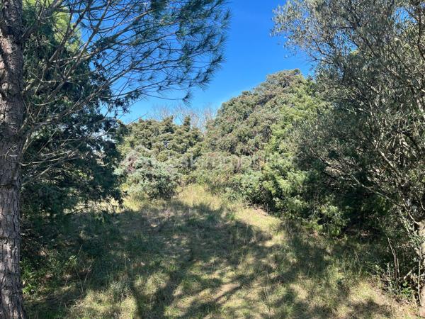 Terrain de 854 m²