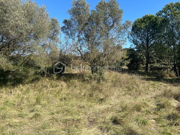 Terrain de 854 m²