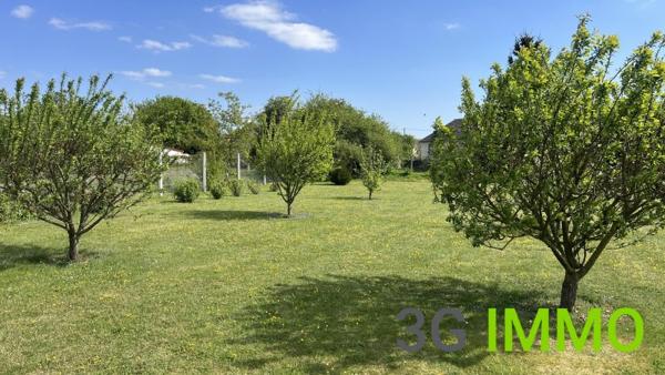 Vente / Maison et grand terrain