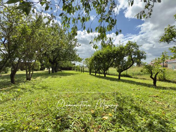 Propriété de caractère a vendre – 160 M² habitable – Dépendances – Terrain arboré de 2 200m2 VILLIERS SUR LOIR (41)