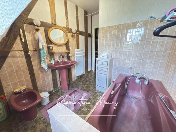 Propriété de caractère a vendre – 160 M² habitable – Dépendances – Terrain arboré de 2 200m2 VILLIERS SUR LOIR (41)