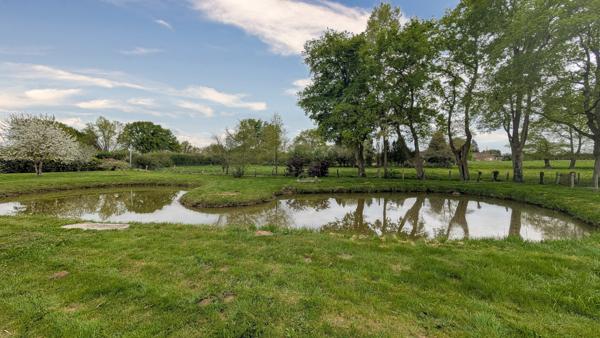 Mézeray (72270) PROPRIÉTÉ 170M2 - 5 CHAMBRES ET PISCINE