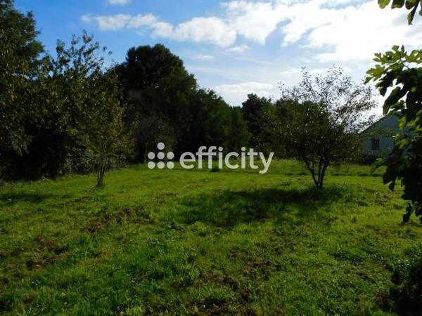 Maison 5 pièces - 210 m² Exclusivité efficity