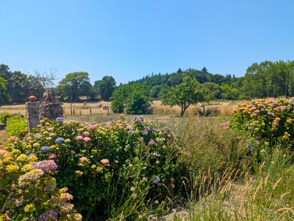 Port-Brillet (53410) MAISON EN CAMPAGNE