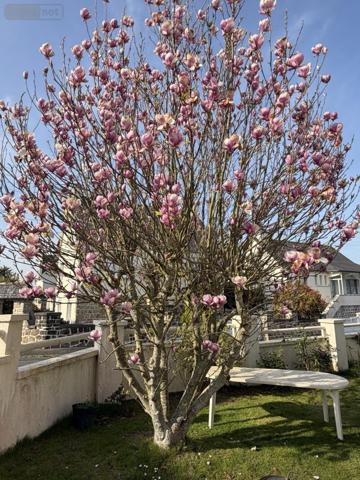 Maison à vendre à Saint-Martin-des-Champs dans le Finistère (29600), ref : 29107-2816