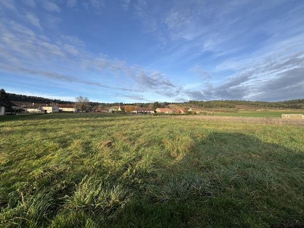POINCON LES LARREY (21130) Terrains avec bois et taillis de 14638 m² dont 2000m² proche des habitations. Poinçon-lès-Larrey (21330)