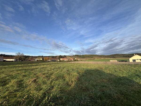 POINCON LES LARREY (21130) Terrains avec bois et taillis de 14638 m² dont 2000m² proche des habitations. Poinçon-lès-Larrey (21330)