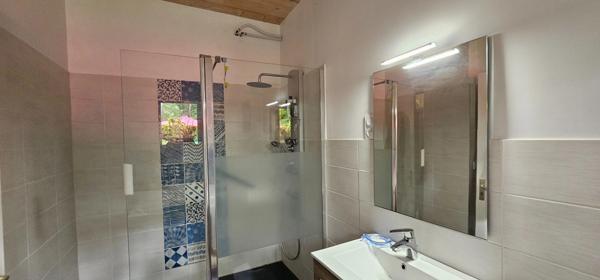 AIRIAL AVEC 2 MAISONS D'HABITATION DONT UNE AUTHENTIQUE LANDAISE - PROCHE de LEON - CADRE BUCOLIQUE