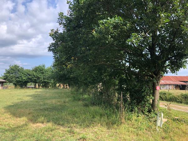 Bâtiment Montreuil sous Pérouse