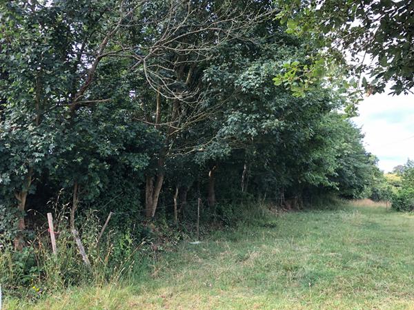 Bâtiment Montreuil sous Pérouse