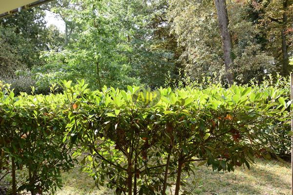 Vente appartement Talence : 309 000 € - AJP ACTEA Talence