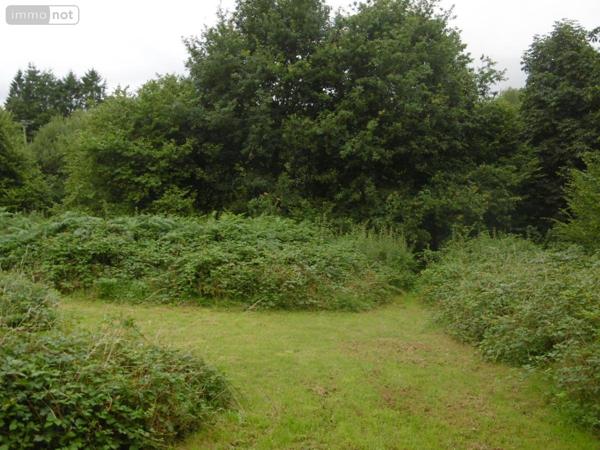 Maison à vendre à Saint-Michel-de-Montjoie dans la Manche (50670), ref : 14076-5722