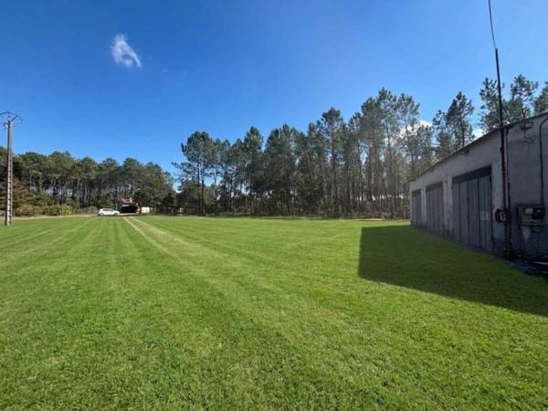 À VENDRE – Terrain constructible à Luxey