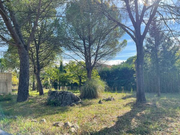 Castelnau-le-Lez (34170) Maison T5 206m2 sur terrain arboré de 2000m2