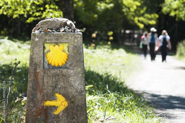 Monistrol-d'Allier (43580) Hôtel de charme, bar, restaurant, chemin de Compostelle, gorges de l'Allier, projet gîtes possible