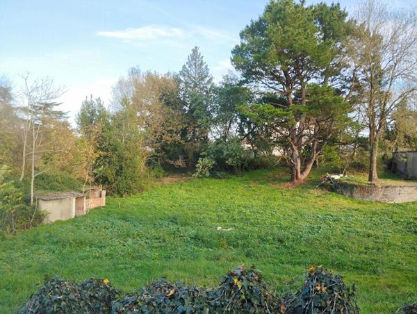 Terrain à bâtir, 1 200m², Champtoceaux, Orée d'Anjou (49270)