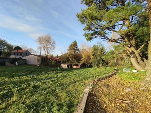 Terrain à bâtir, 1 200m², Champtoceaux, Orée d'Anjou (49270)